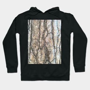 Bark - Scots pine Hoodie